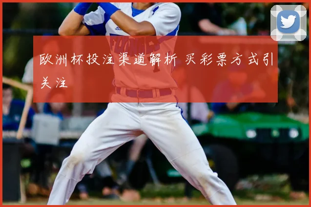 欧洲杯投注渠道解析 买彩票方式引关注