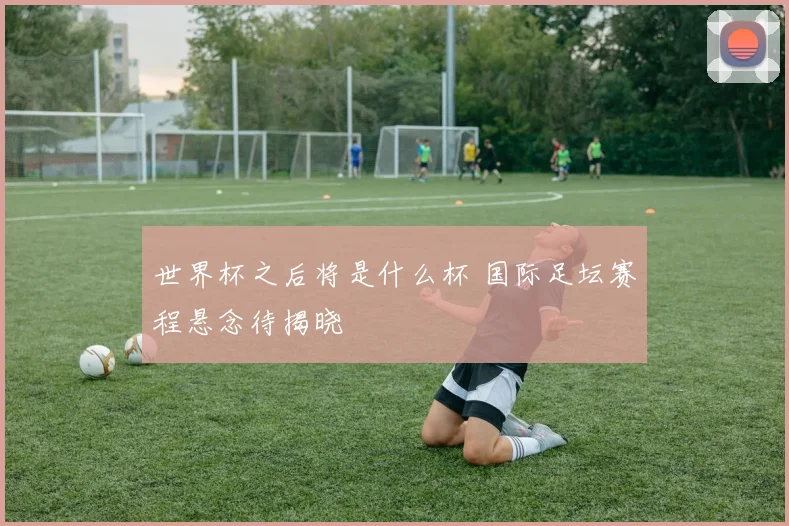 世界杯之后将是什么杯 国际足坛赛程悬念待揭晓