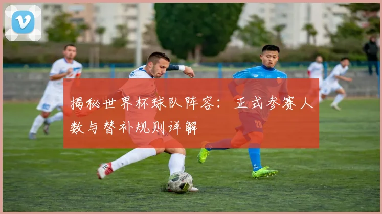 揭秘世界杯球队阵容：正式参赛人数与替补规则详解