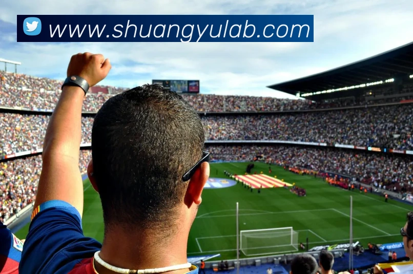 球赛押注app官网平台生态图