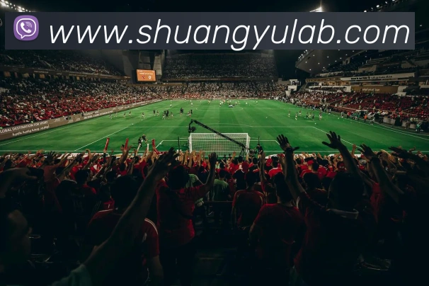 数据防护可视化